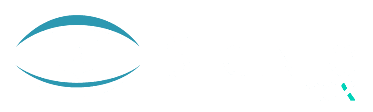 seginfo.co logo